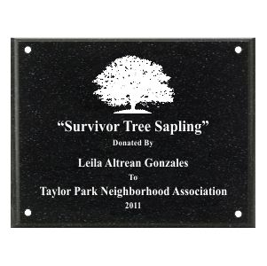 Black AcrylaStone Plaque with Holes