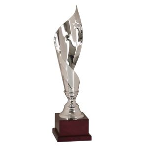 Star Cup Trophy