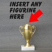 Darcie Trophy